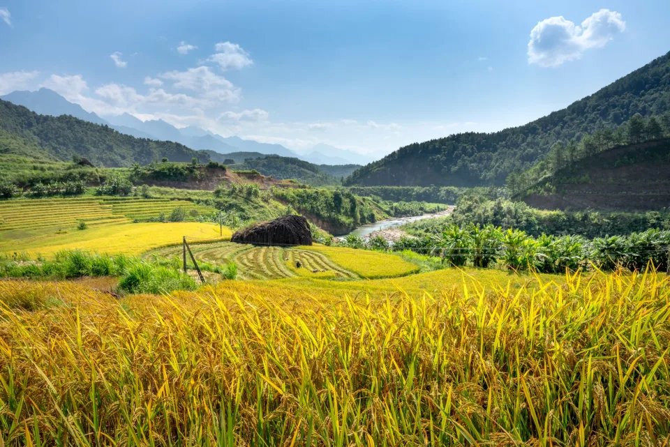 Kho gạo của Nguyễn Thành Định